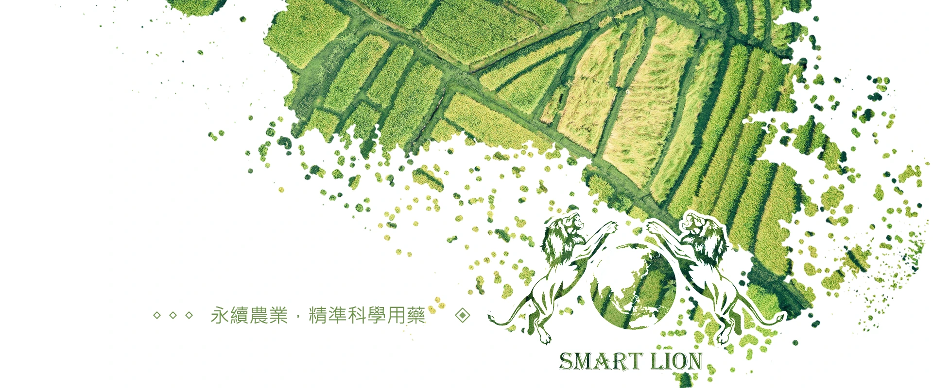 Taiwan Smart Ltd.