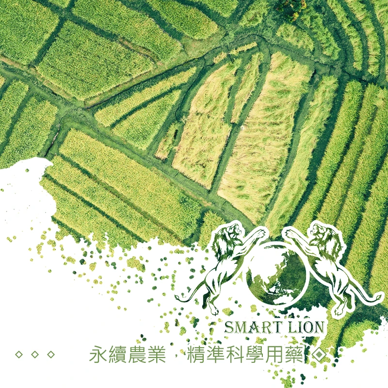 Taiwan Smart Ltd.